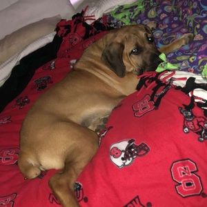 Meet your Posher, Ellie